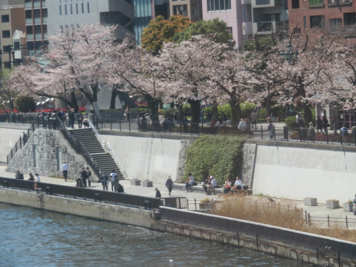 東武スカイツリーラインで車窓花見 浅草 とうきょうスカイツリーの区間 オマツリジャパン 毎日 祭日