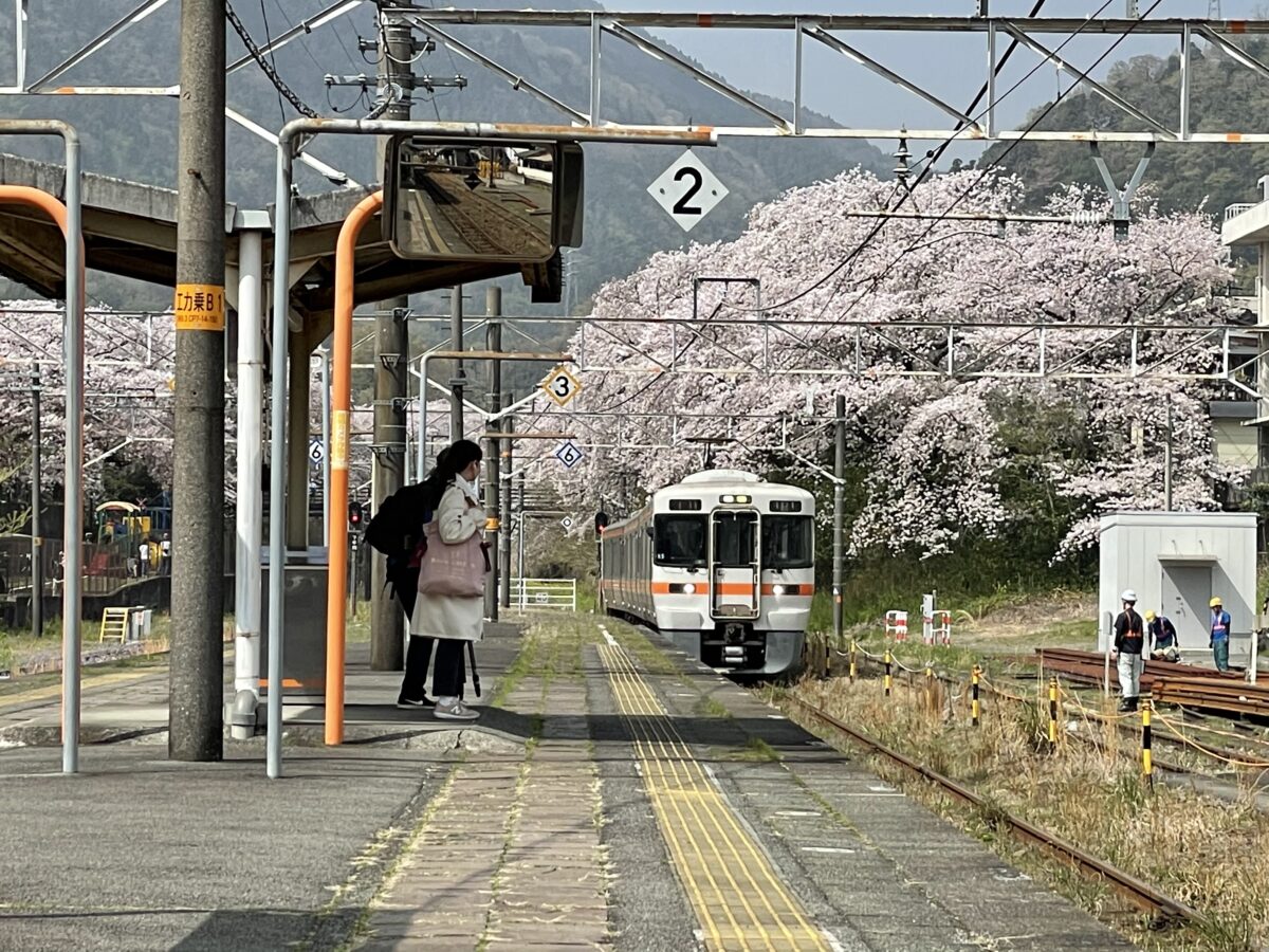 御殿場線山北駅 桜のトンネルを通過する御殿場線 オマツリジャパン 毎日 祭日