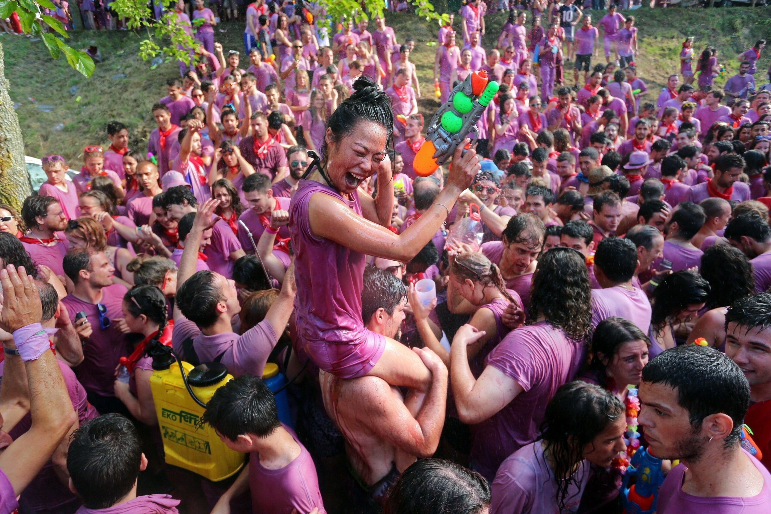 9月8日はスペインワインの日！リオハなどイベリア半島に広がるブドウ畑