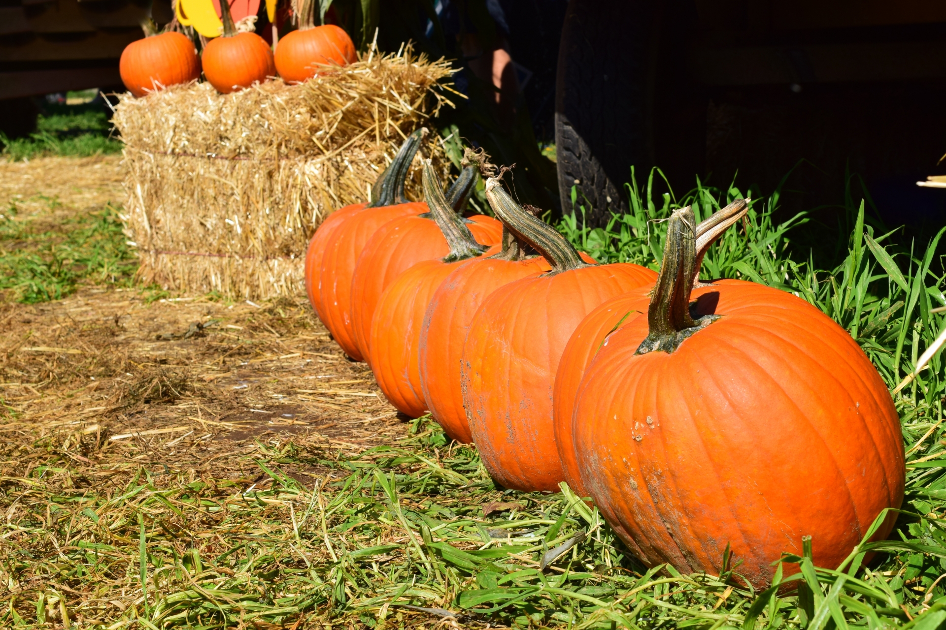 今日から楽しめる 東京で開催中のおすすめハロウィンイベント5選 21年版 オマツリジャパン あなたと祭りをつなげるメディア 今日から楽しめる 東京で開催中のおすすめハロウィンイベント5選 21年版 オマツリジャパン あなたと祭りをつなげるメディア