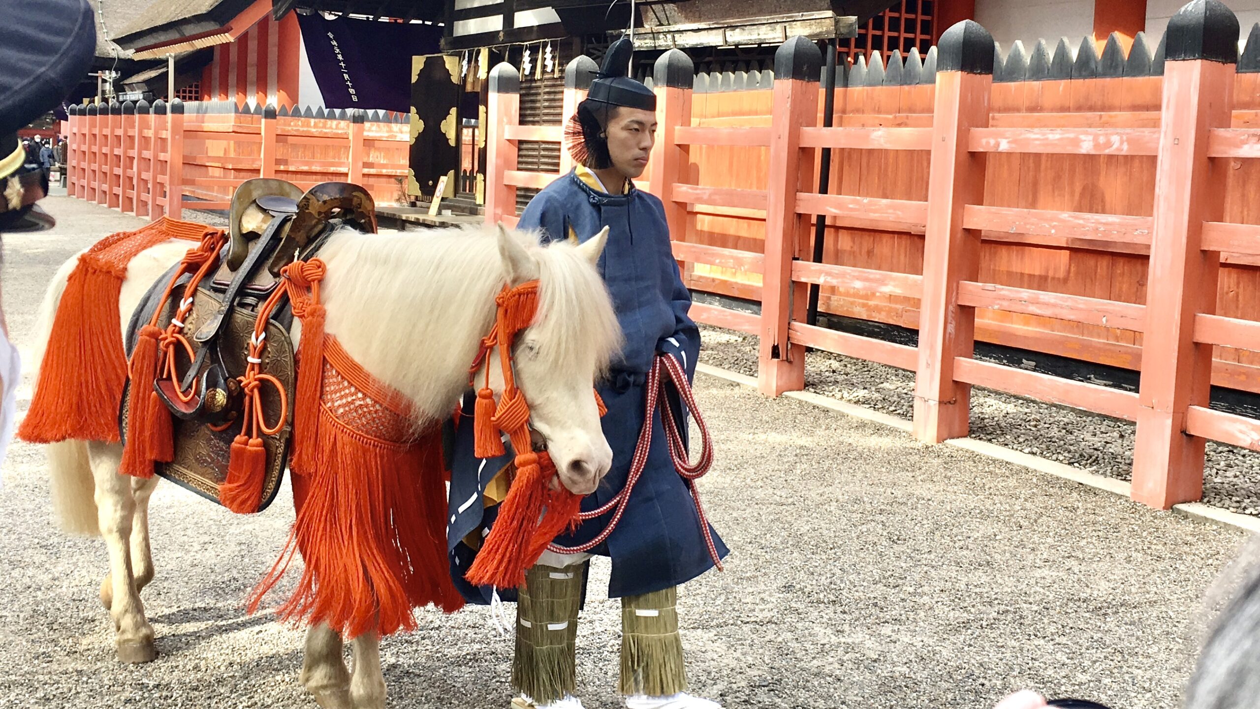 住吉大社の白馬神事で邪気払い 限定御朱印とお守りも オマツリジャパン あなたと祭りをつなげるメディア