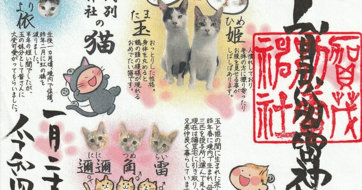 白鷺神社 ねこの日 限定 御朱印 白猫 黒猫 にゃんにゃん 3種セット