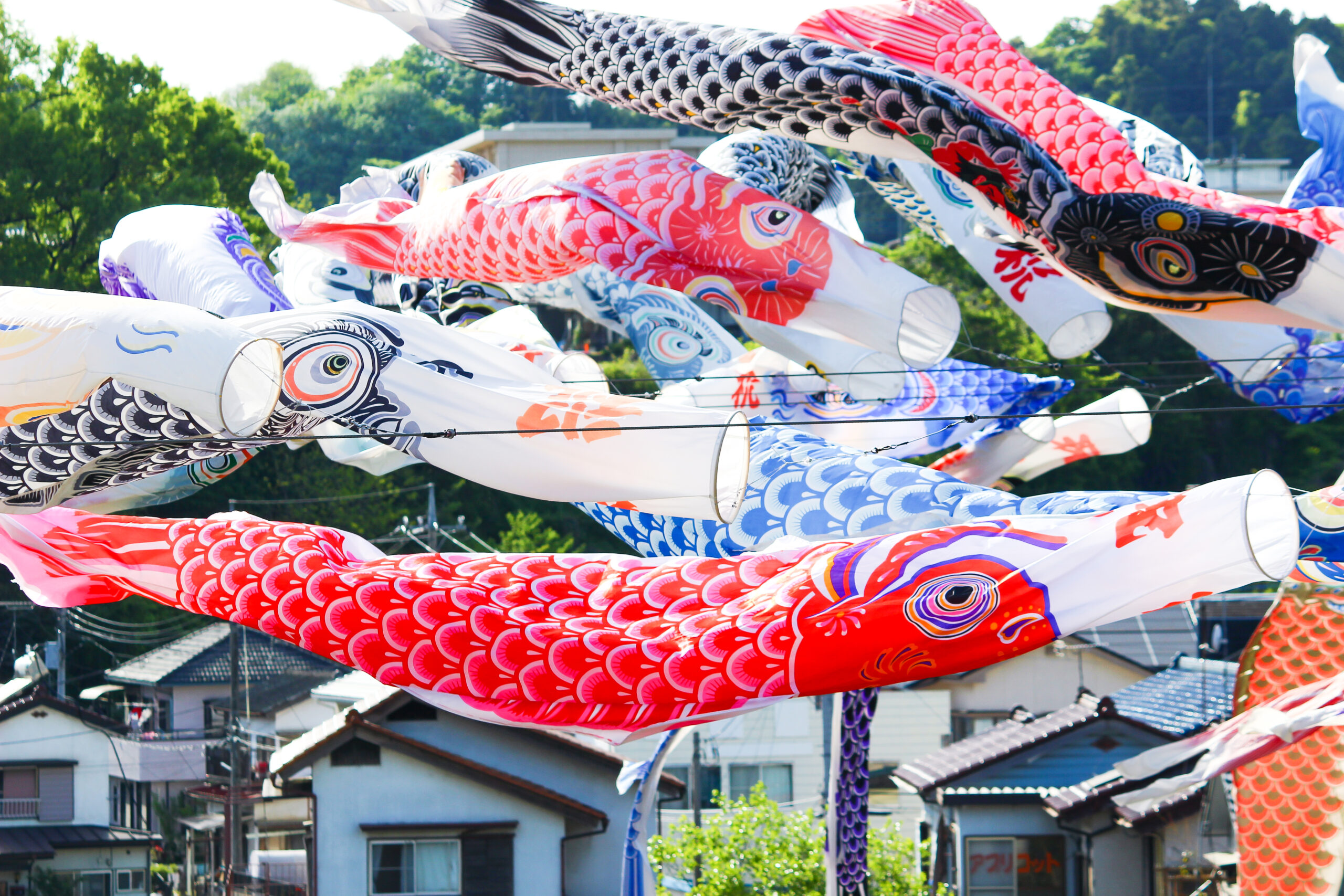 横瀬鯉のぼり祭り