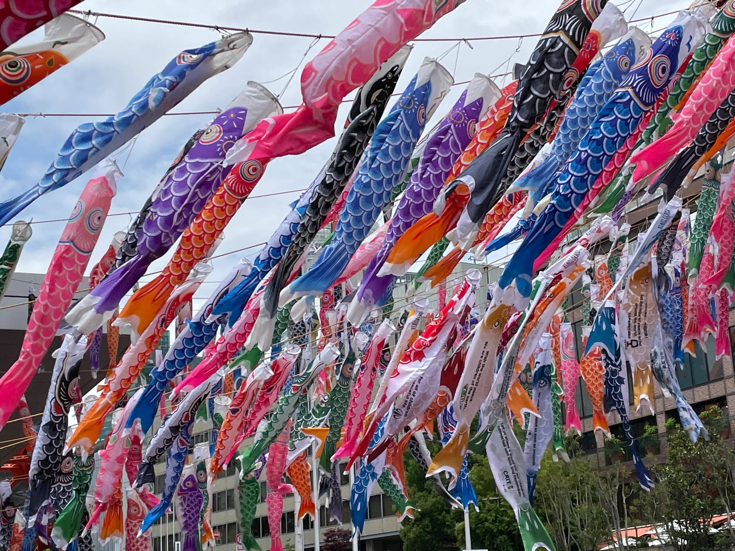 台湾祭！こいのぼりフェス！鬼滅の刃まで！GWに家族で楽しめるお祭り4