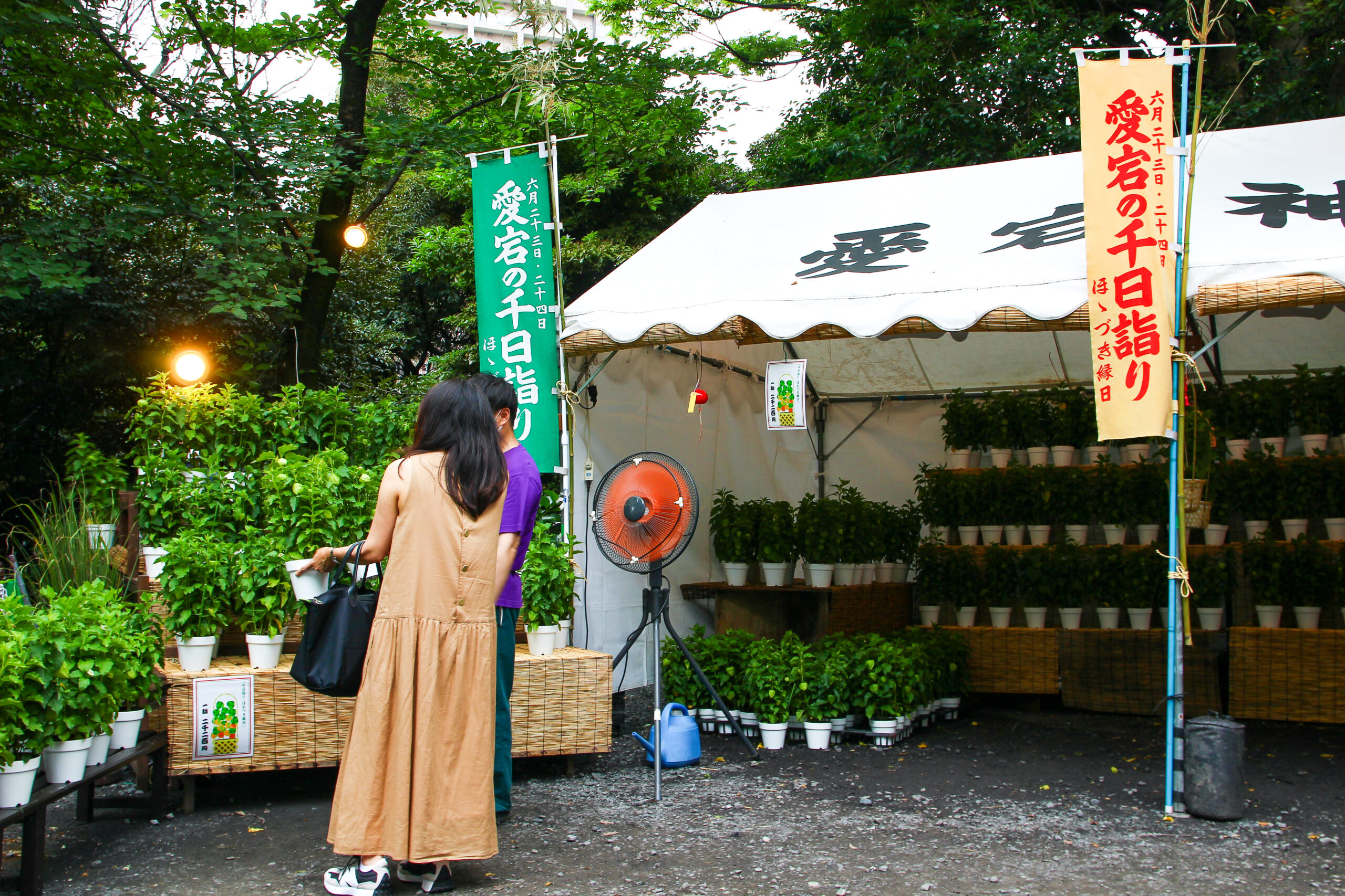 愛宕神社ほおづき縁日