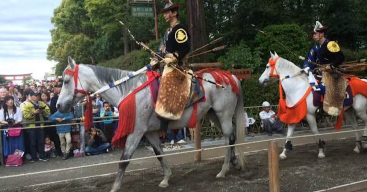 (未使用･未開封品)日本の祭り 神 春日若宮おん祭 三社祭 鶴岡八幡宮流鏑馬神事 天童夏まつり 羽茂まつり 大原はだか祭り かまくら 大津山王祭 KVD-3403 [DVD] Amazon.co.jp: 日本の祭り 神 春日若宮おん祭 三社祭 鶴岡八幡宮