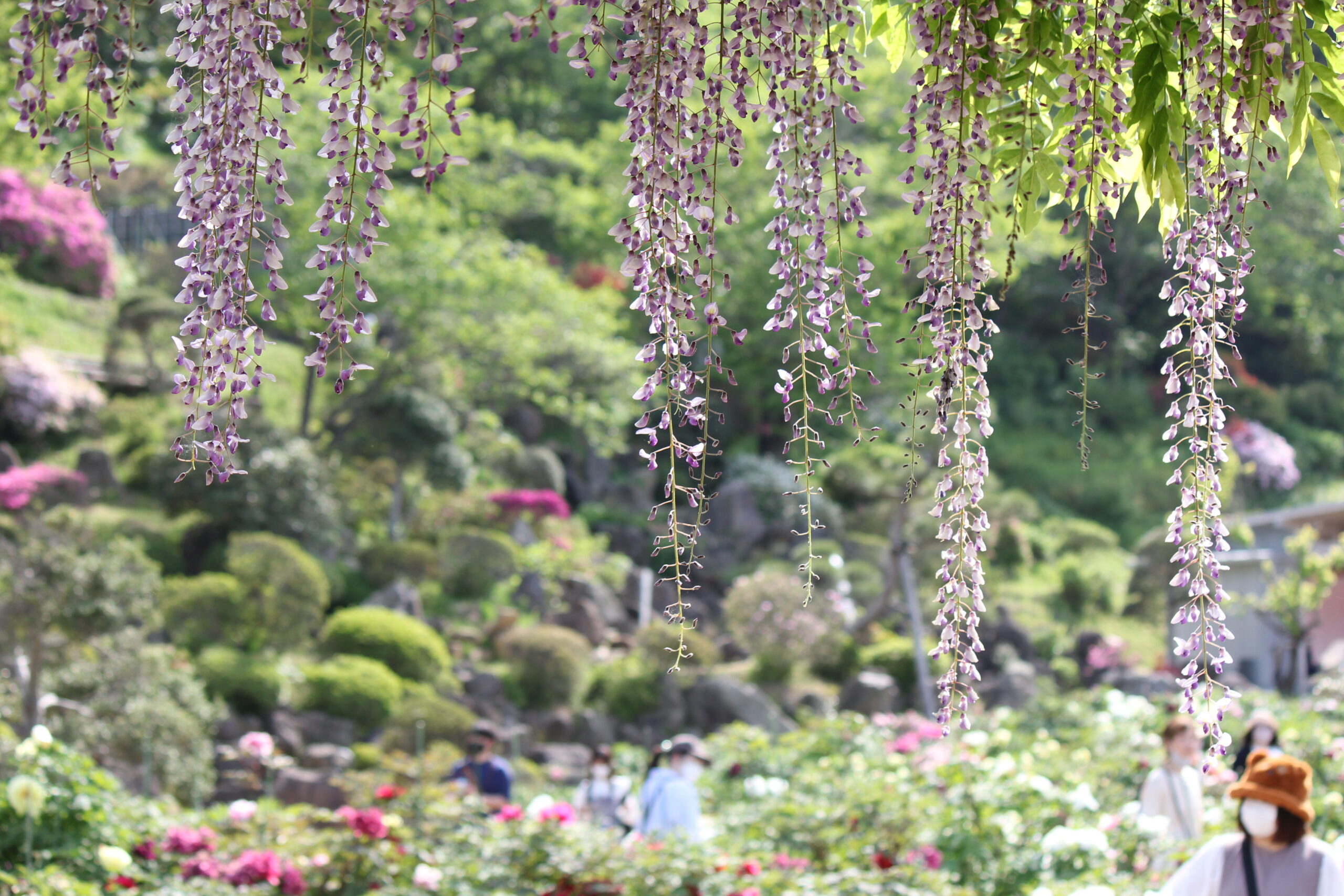 金蛇水神社