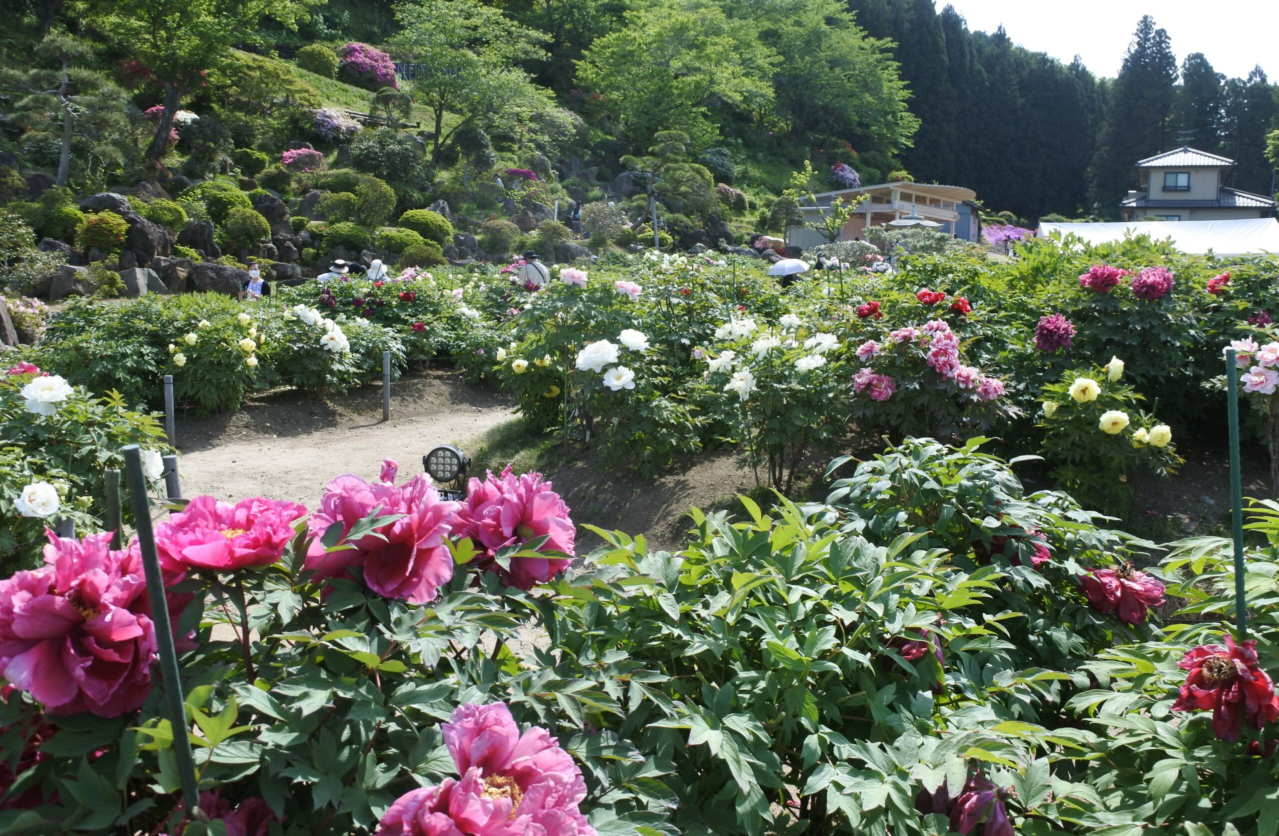 金蛇水神社