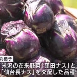 夏の味覚「梵天丸茄子」豊作祈願 米沢市