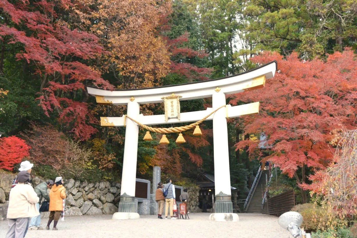 見ごろ目前　南関東・山梨・静岡の紅葉スポット