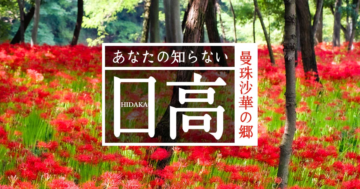 あなたの知らない曼珠沙華の郷・日高