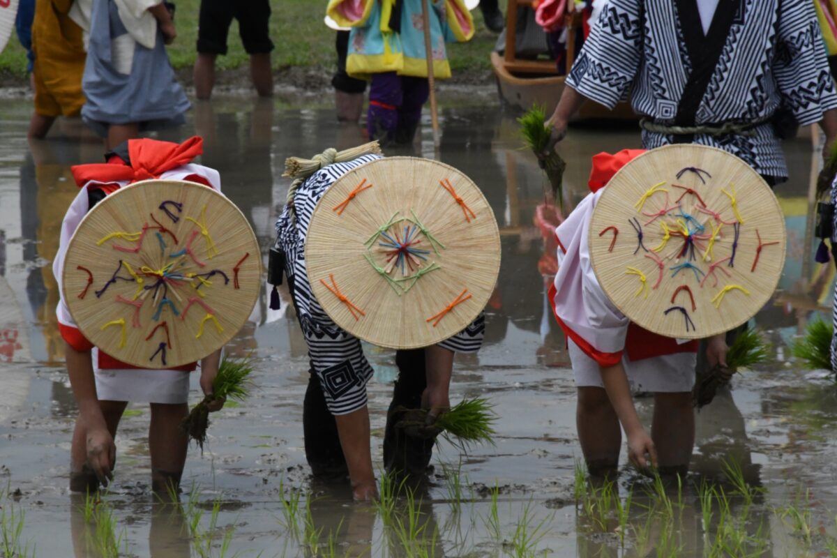 御田植祭とは？有名なのはどこ？