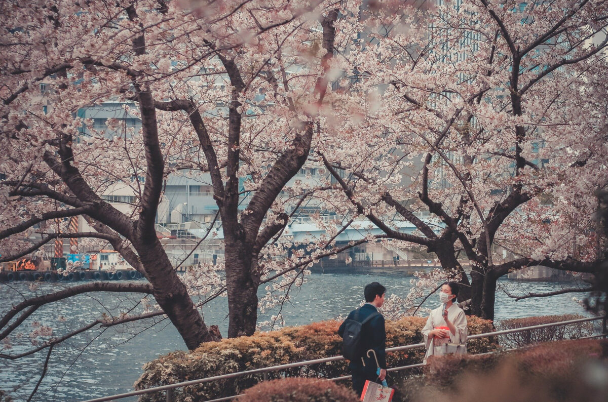 満開間近！東京の花見10選！