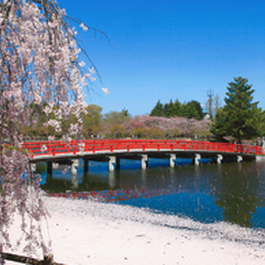 第37回　平川市おのえ花と植木まつり