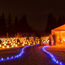 えちごかわぐち雪洞火ぼたる祭