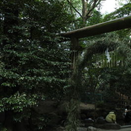 御手洗祭　蚕の社 木嶋坐天照御魂神社