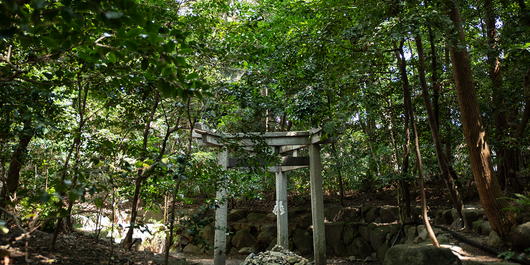 蚕の社 木嶋坐天照御魂神社