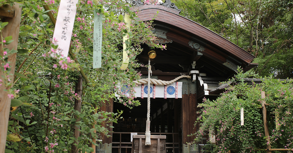 梨木神社 萩まつり 開催日時 場所 祭り行く方法や見どころを紹介 オマツリジャパン 毎日 祭日