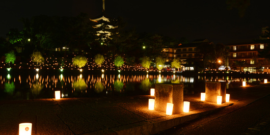 奈良公園　猿沢池