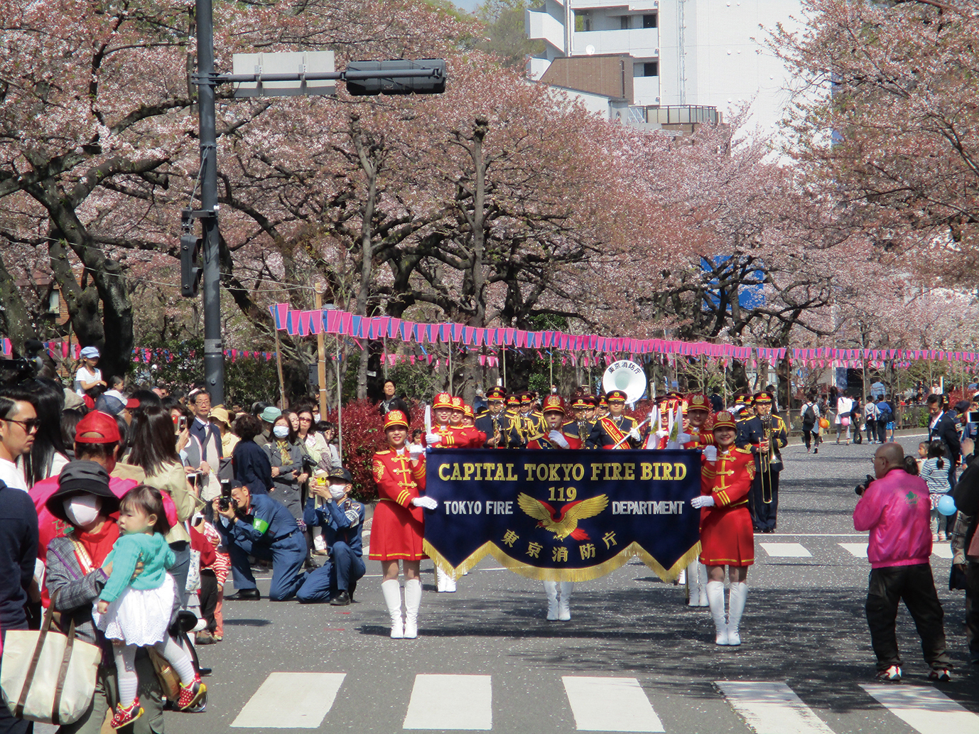 文京さくらまつり