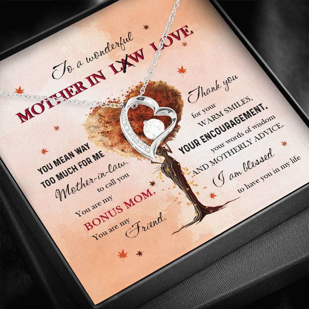 You Mean Way To Much For Me Forever Love Necklace For Mother In Love