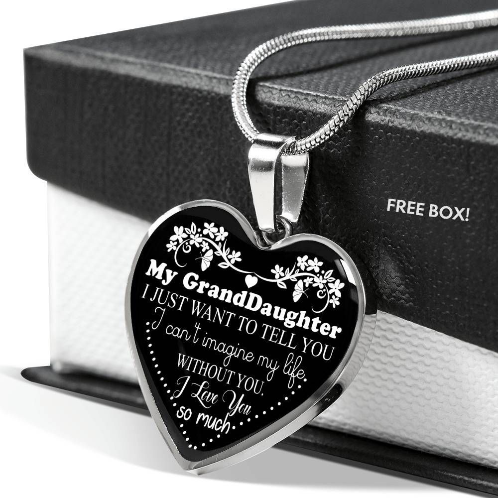 I Can't Imagine My Life Without You Gift For Granddaughter Stainless Heart Pendant Necklace