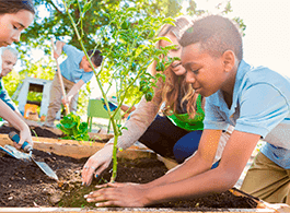 Gestão e educação ambiental