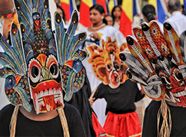 Diversidade, meio ambiente e patrimônio cultural