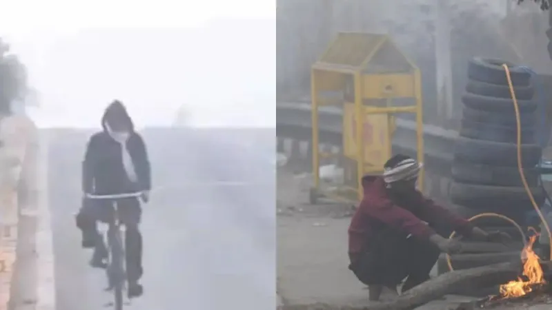 Weather Update: अभी और तड़पाएगी हाड़ कंपाने वाली ठंड! कोहरे की मार से राजधानी परेशान; IMD ने जारी किया अलर्ट