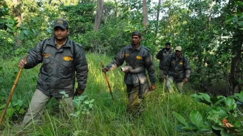 बिहार में सहायक वन संरक्षक की भर्ती, कैसे होगा फिजिकल टेस्ट? जानें उम्र और हाइट की शर्तें