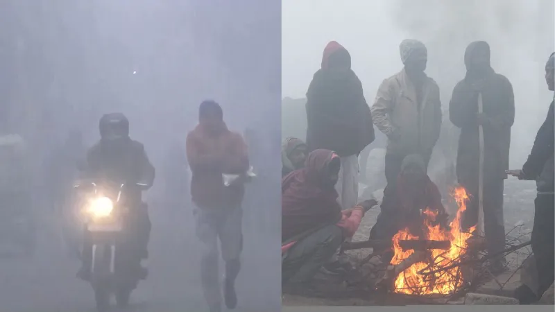 देश के कई राज्यों में हाड़ कंपाने वाली ठंड, यूपी में 2 की मौत, जानिए कोल्ड वेव सेहत के लिए कितनी खतरनाक