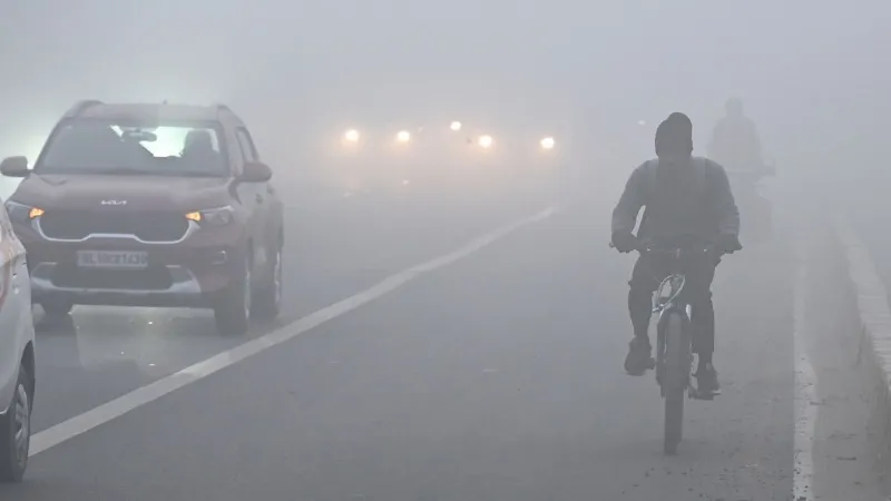 ठंड का थर्ड डिग्री टॉर्चर, कई राज्यों में शीतलहर का अलर्ट; जानें अपने राज्य के मौसम का हाल