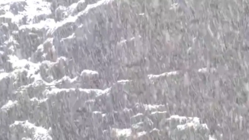 बर्फ की चादर से ढका कश्मीर-उत्तराखंड और हिमाचल प्रदेश, भारी बर्फबारी देख खुश हुए पर्यटक