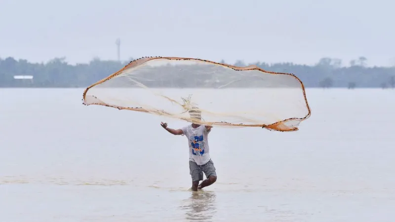 मछली पालन के लिए अमृत सरोवर बनाने का है मन? जानिए सरकार से कैसे मिलेगी आर्थिक मदद