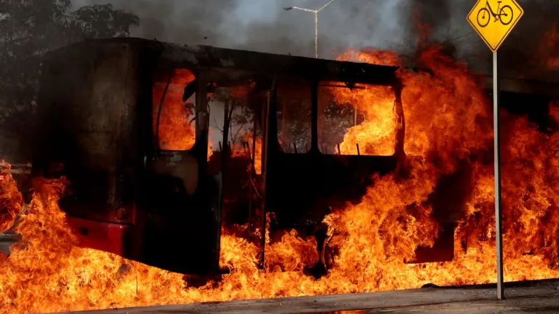 'सतर्क रहें, भीड़ से बचें और...', मेक्सिको में हिंसा पर भारतीय दूतावास का अलर्ट, फोन नंबर किया जारी