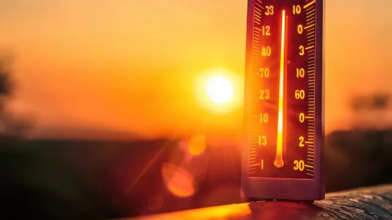 मार्च में गर्मी मचाएगी तांडव! राजस्थान सहित 5 राज्यों में हीटवेव का अलर्ट, अमरावती में तापमान 40.8 डिग्री