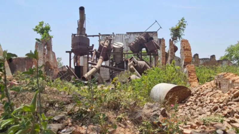 दशकों बाद खुलेगी बिहार की ये चीनी मिल, हजारों लोगों को मिलेगा रोजगार; निवशकों ने किया निरीक्षण