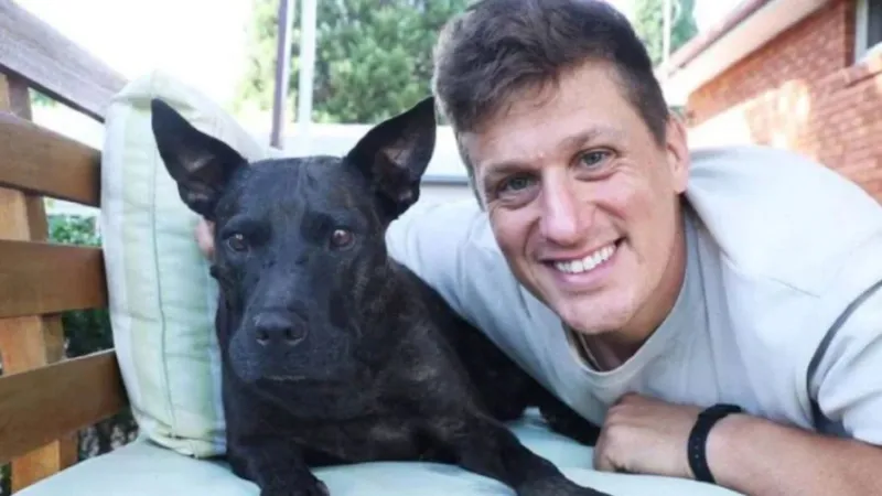 AI का नया चमत्कार! ChatGPT की मदद से बनाया कैंसर का टीका, आधा हो गया कुत्ते का ट्यूमर