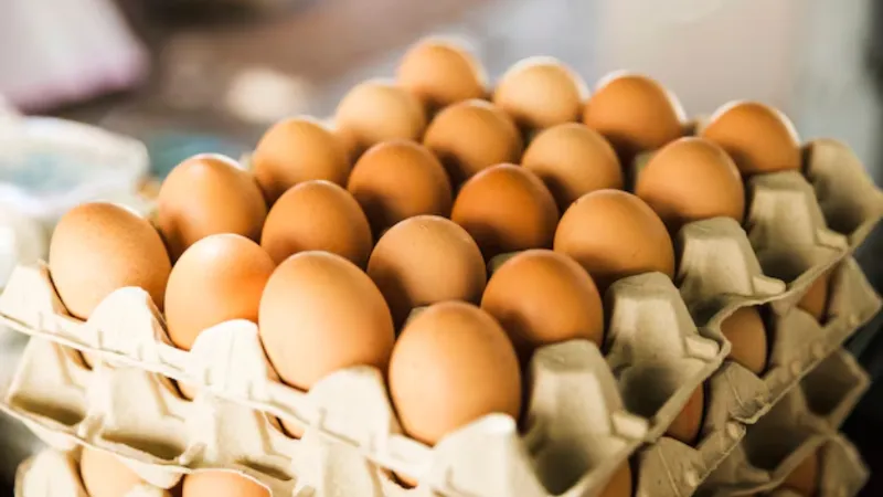 Egg sellers in UP must keep these things in mind Yogi government issues strict orders