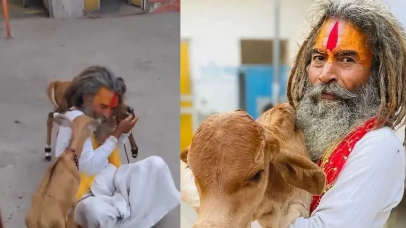 UP: फरसा वाले बाबा की 400 गायों पर संकट! चारा और देखरेख को लेकर जिलाधिकारी का बड़ा ऐलान