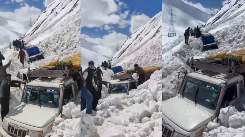 श्रीनगर-लेह हाईवे पर भयंकर एवलांच; छह लोगों की मौत, बर्फ में धंसीं कई कारें, रेस्क्यू ऑपरेशन जारी