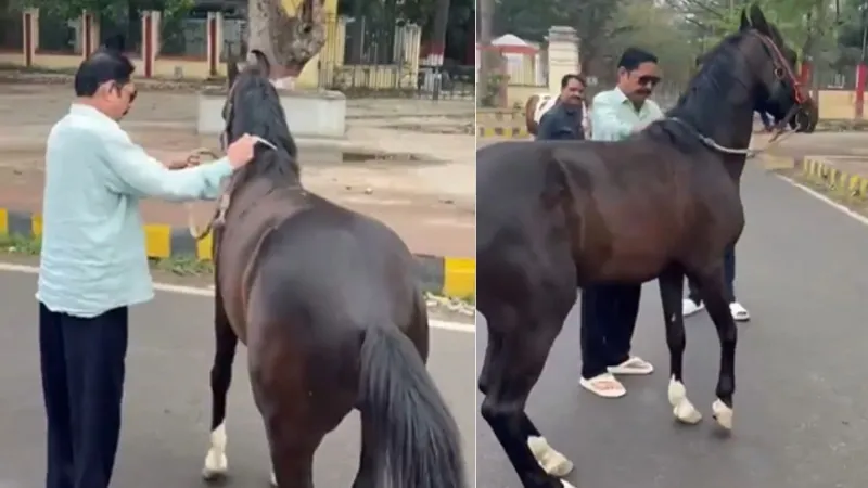 पटना की सड़कों पर दिखा अनंत सिंह का अनोखा अंदाज, लोगों को याद आए पुराने दिन; देखें VIDEO