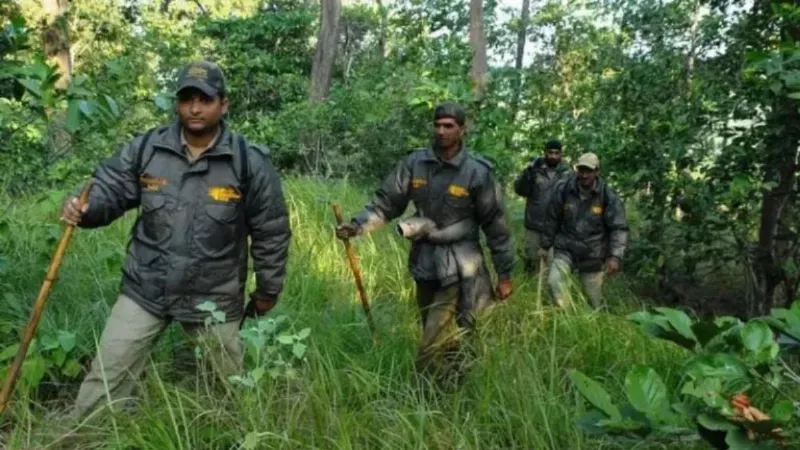 UPSSSC Forest Guard Recruitment 2026 Notification check details