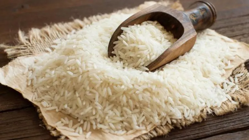 Basmati Rice: सऊदी को क्यों पसंद है भारत का बासमती चावल? बना सबसे बड़ा खरीदार, ये रही 5 बड़ी वजहें
