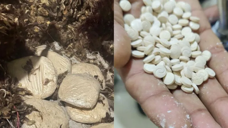 NCB को मिली बड़ी सफलता, कैप्टागॉन की 182 करोड़ की खेप जब्त; जानें इसे क्यों कहा जाता है 'जिहादी ड्रग’