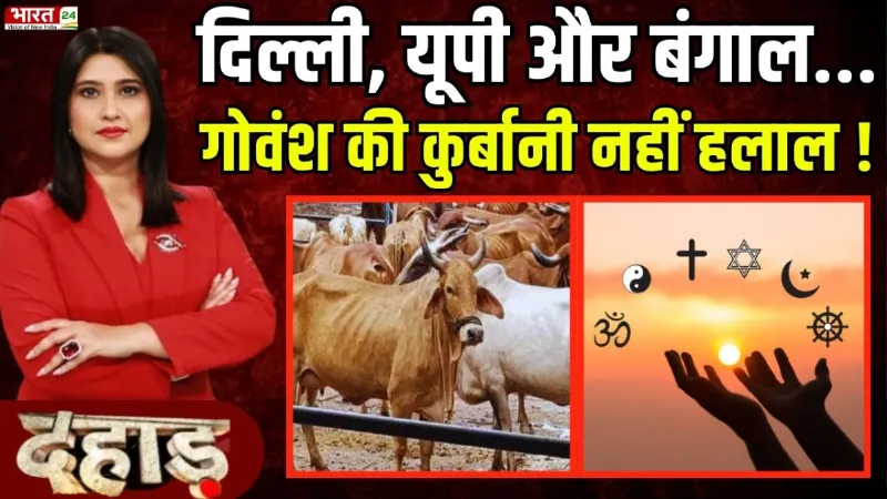 Dahaad: दिल्ली, यूपी और बंगाल... गोवंश की कुर्बानी नहीं हलाल !