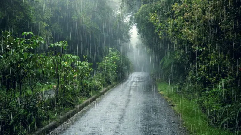 Weather: दिल्ली से बिहार तक बदलेगा मौसम का मिजाज, कब दस्तक देगा मानसून? IMD ने दे दी गुड न्यूज