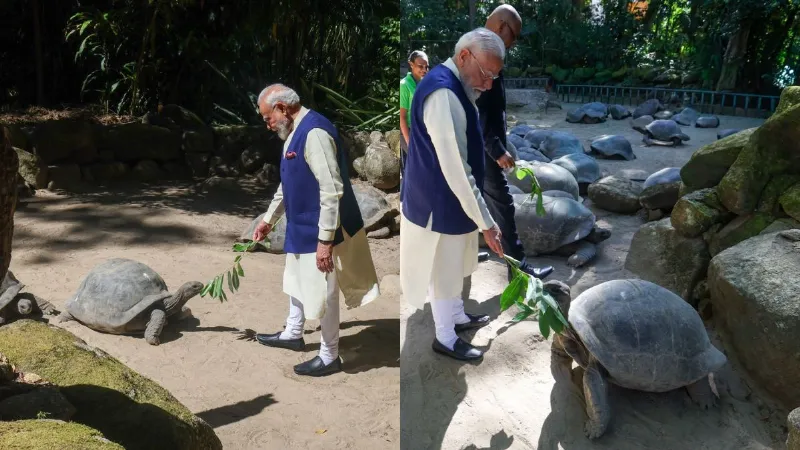 सेशेल्स दौरे पर दुनिया के सबसे बुजुर्ग जीव मिले PM मोदी, उम्र जानकर रह जाएंगे हैरान, देखें वीडियो