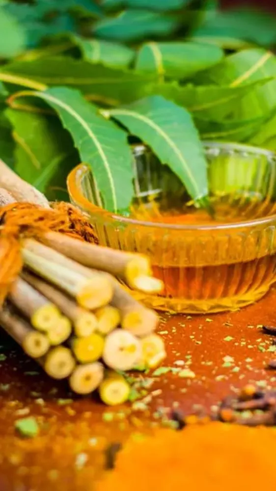 Homemade Neem Face Wash: बिना पैसे खर्च किए घर पर बनाएं नेचुरल फेस वॉश; पिंपल्स और ऑयली स्किन से मिलेगा छुटकारा