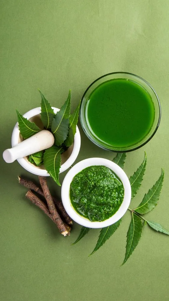 Homemade Neem Face Wash: बिना पैसे खर्च किए घर पर बनाएं नेचुरल फेस वॉश; पिंपल्स और ऑयली स्किन से मिलेगा छुटकारा